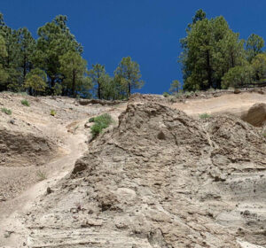 A natural hillside composed of volcanic ash and pozzolanic material with pine trees along the ridge under a clear blue sky.